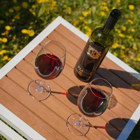 Victor - Adorable With Terrace+free Parking *